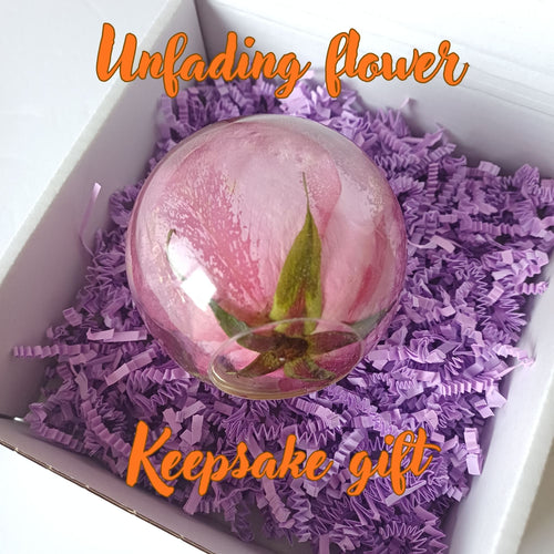 Whole flower preserved in resin, unfading bloom, full view