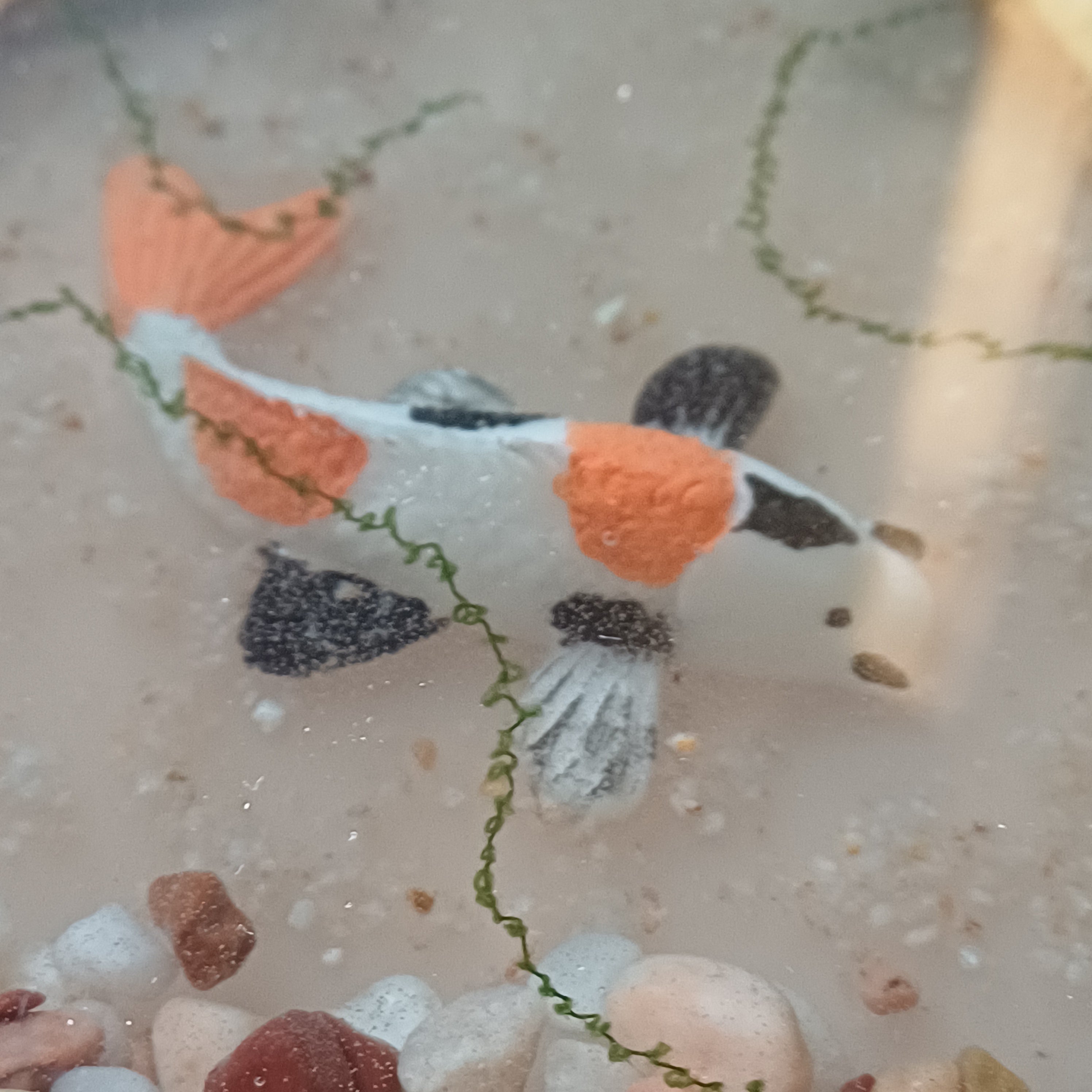 Round Resin Accent Table, Koi Pond Side Table