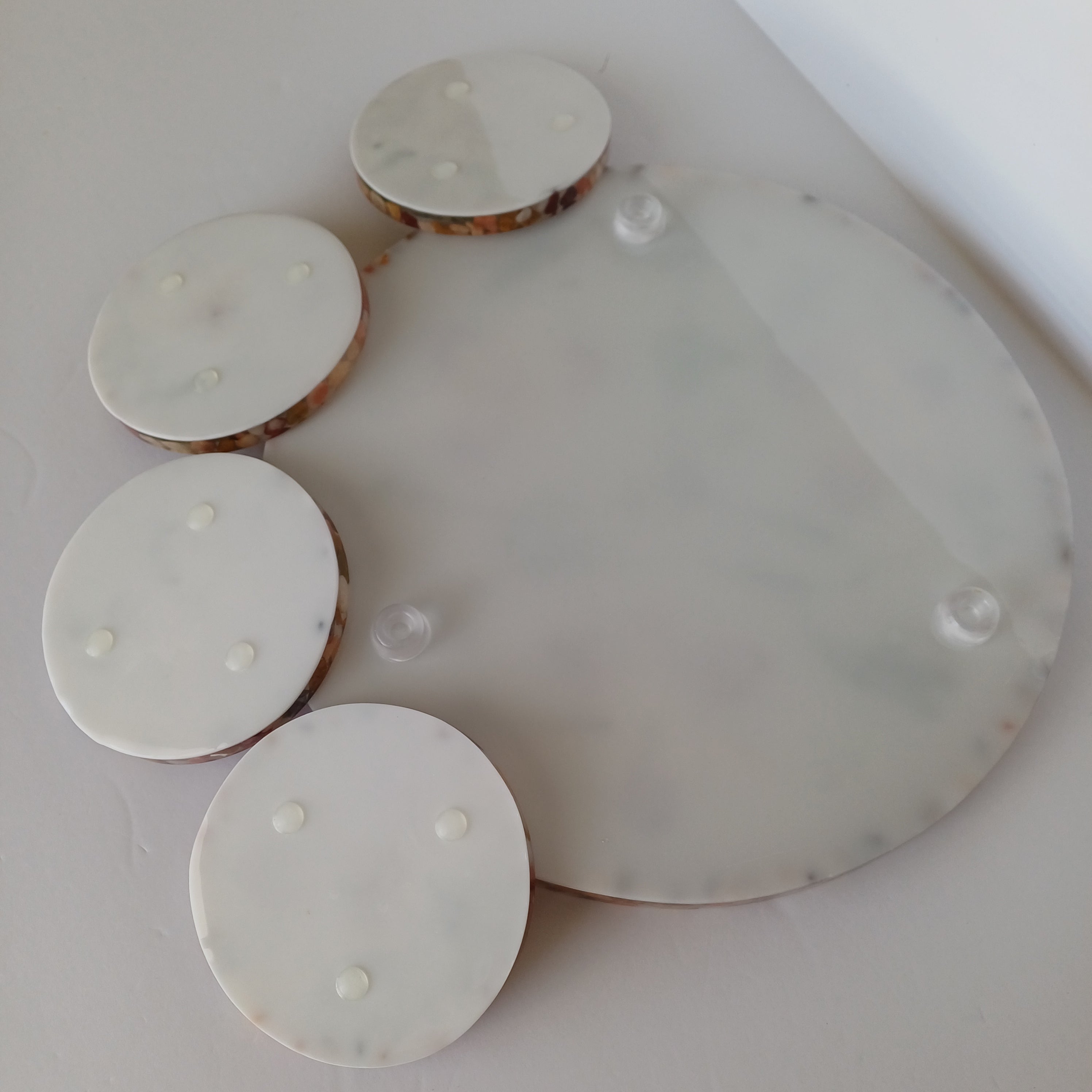 12 in Serving Tray with 4 matching  Coasters, real flower and leaves
