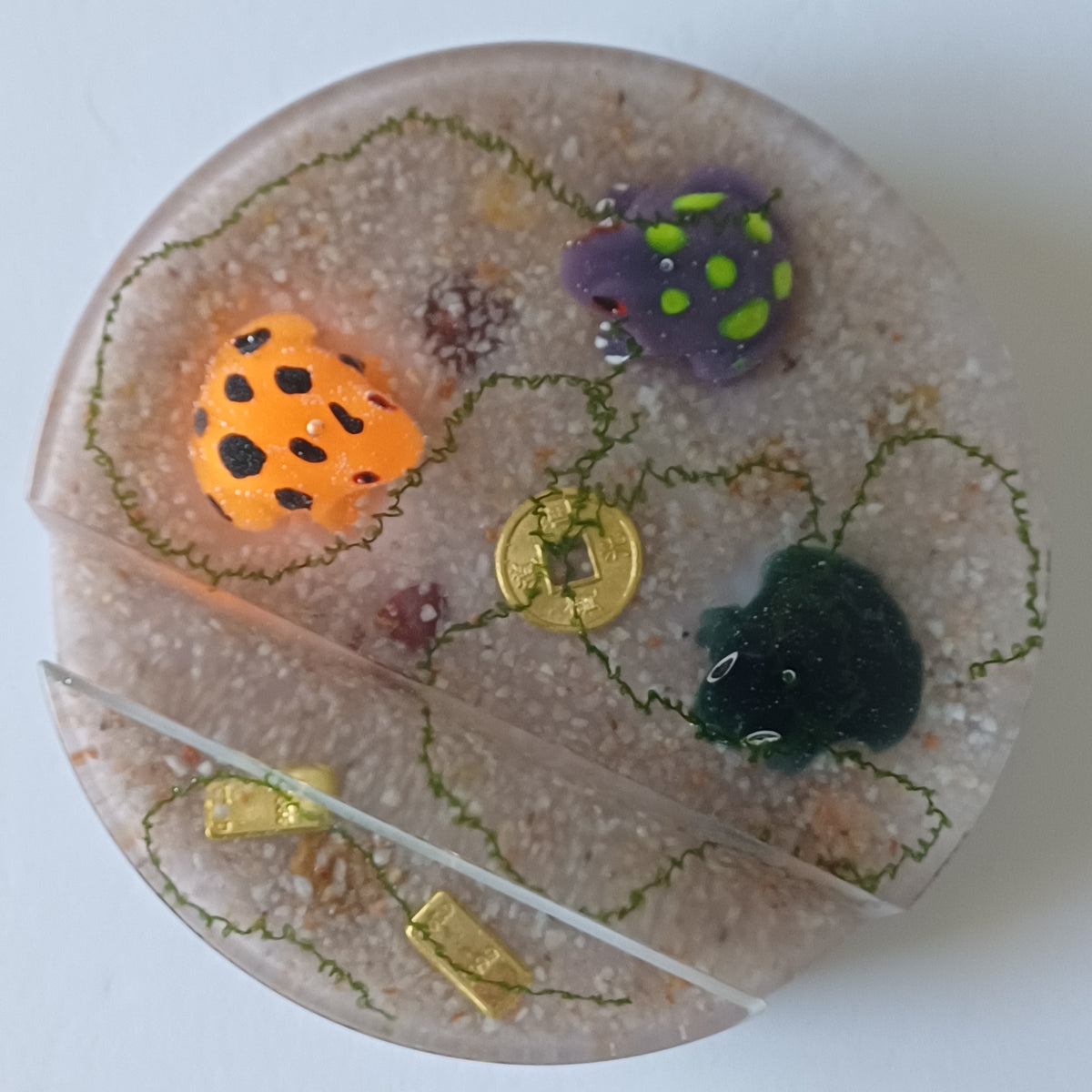 Round Resin Phone Holder, Fish, Frog or Glow in the Dark Anemone, Handmade Water Life Desk Decor, Nature Lover Gift