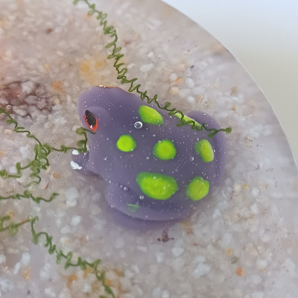 Round Resin Phone Holder, Fish, Frog or Glow in the Dark Anemone, Handmade Water Life Desk Decor, Nature Lover Gift