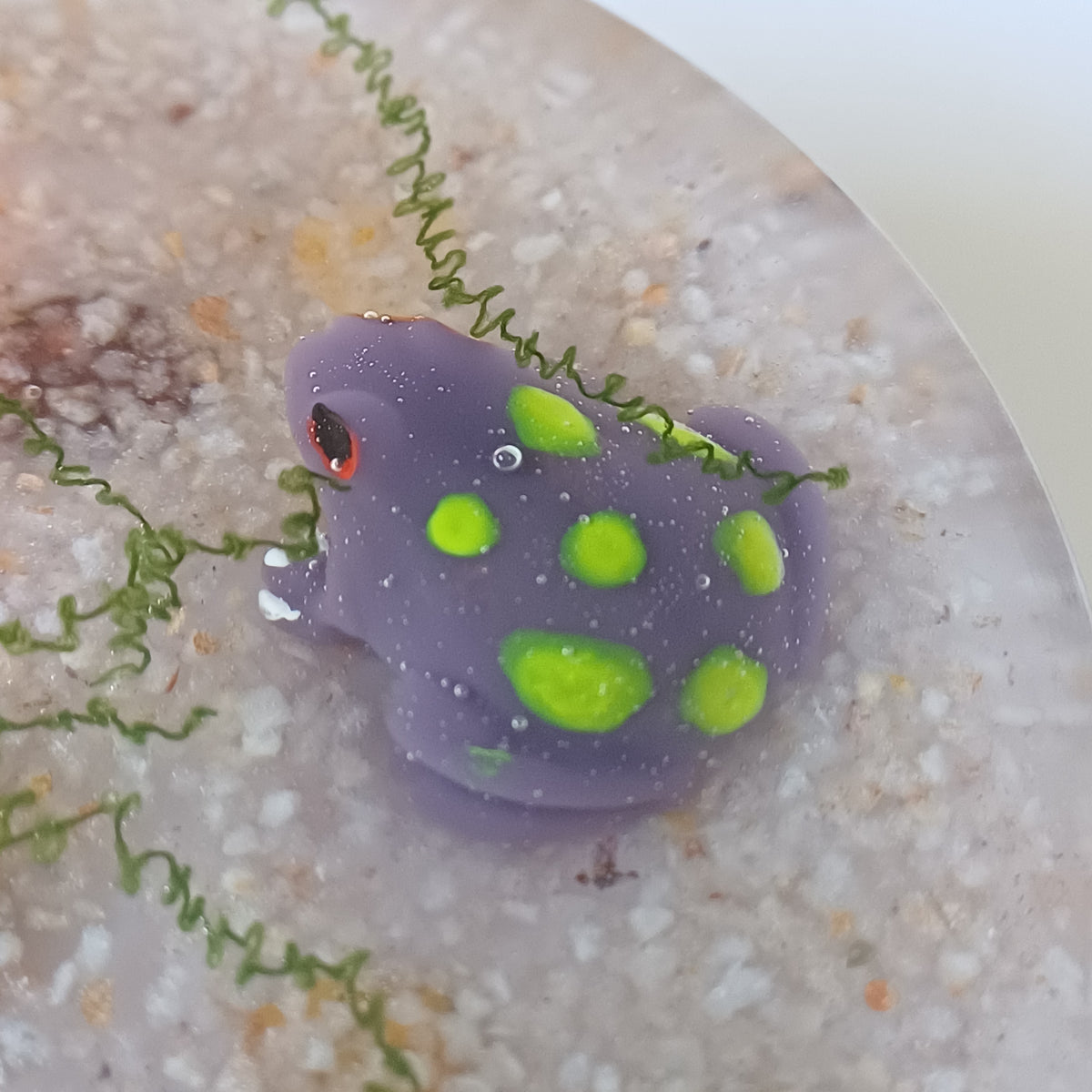 Round Resin Phone Holder, Fish, Frog or Glow in the Dark Anemone, Handmade Water Life Desk Decor, Nature Lover Gift