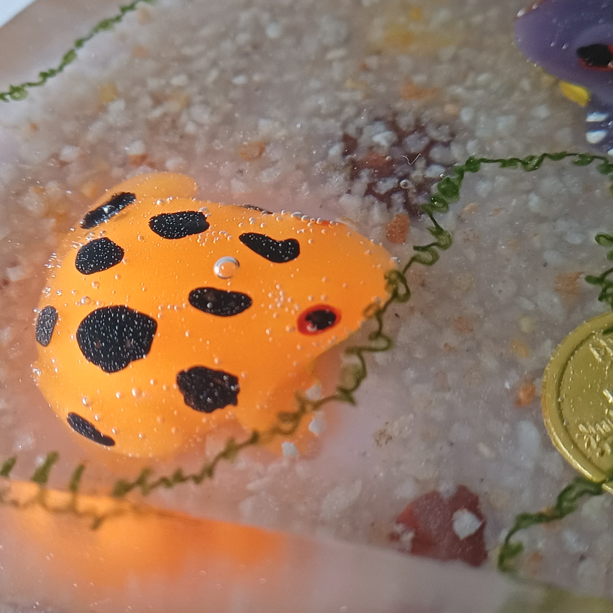 Round Resin Phone Holder, Fish, Frog or Glow in the Dark Anemone, Handmade Water Life Desk Decor, Nature Lover Gift