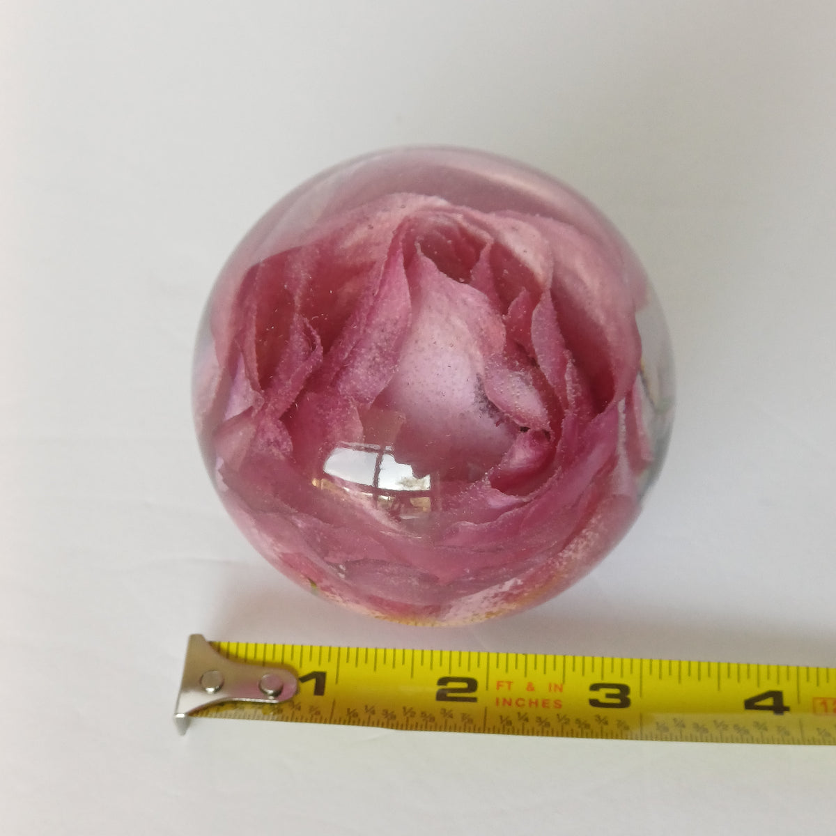 Whole flower preserved in resin, unfading bloom, styled display