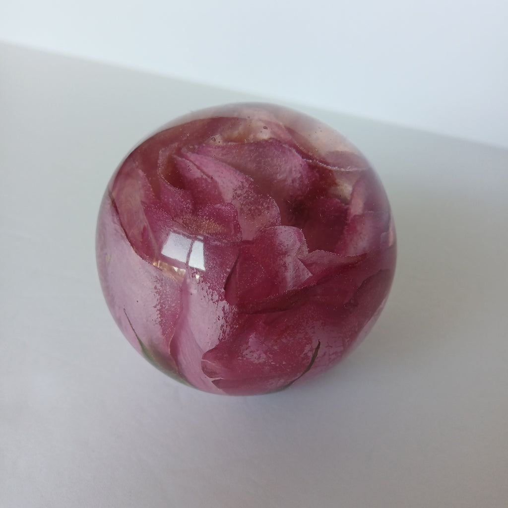 Whole flower preserved in resin, unfading bloom, size reference