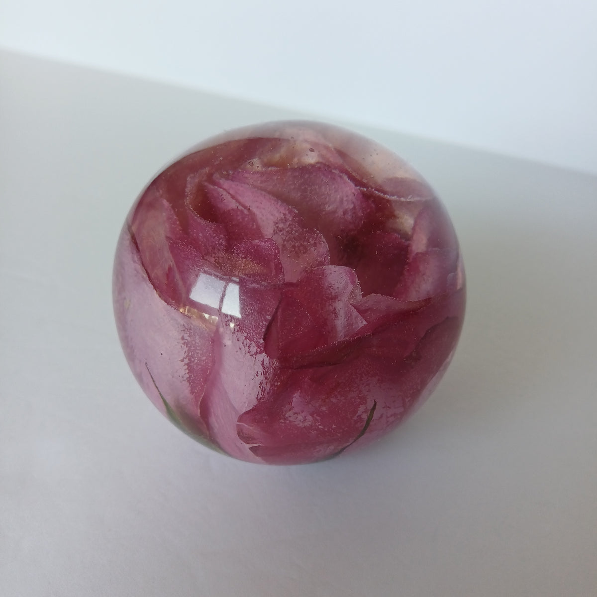 Whole flower preserved in resin, unfading bloom, size reference