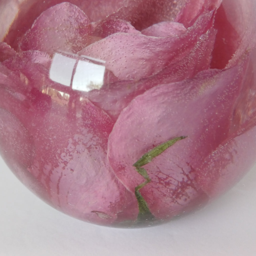 Whole flower preserved in resin, unfading bloom, side angle