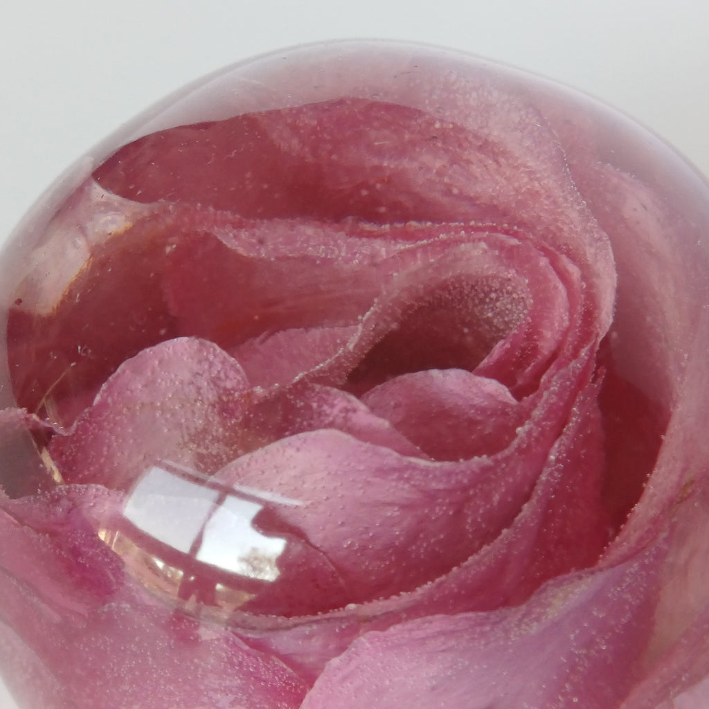 Whole flower preserved in resin, unfading bloom, another angle