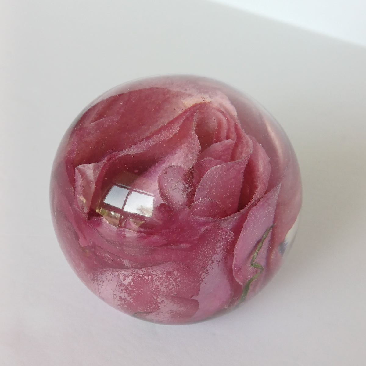 Whole flower preserved in resin, unfading bloom, detail of the resin finish