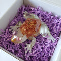 Lucky Coin Frog Resin Figurine with Real Flowers