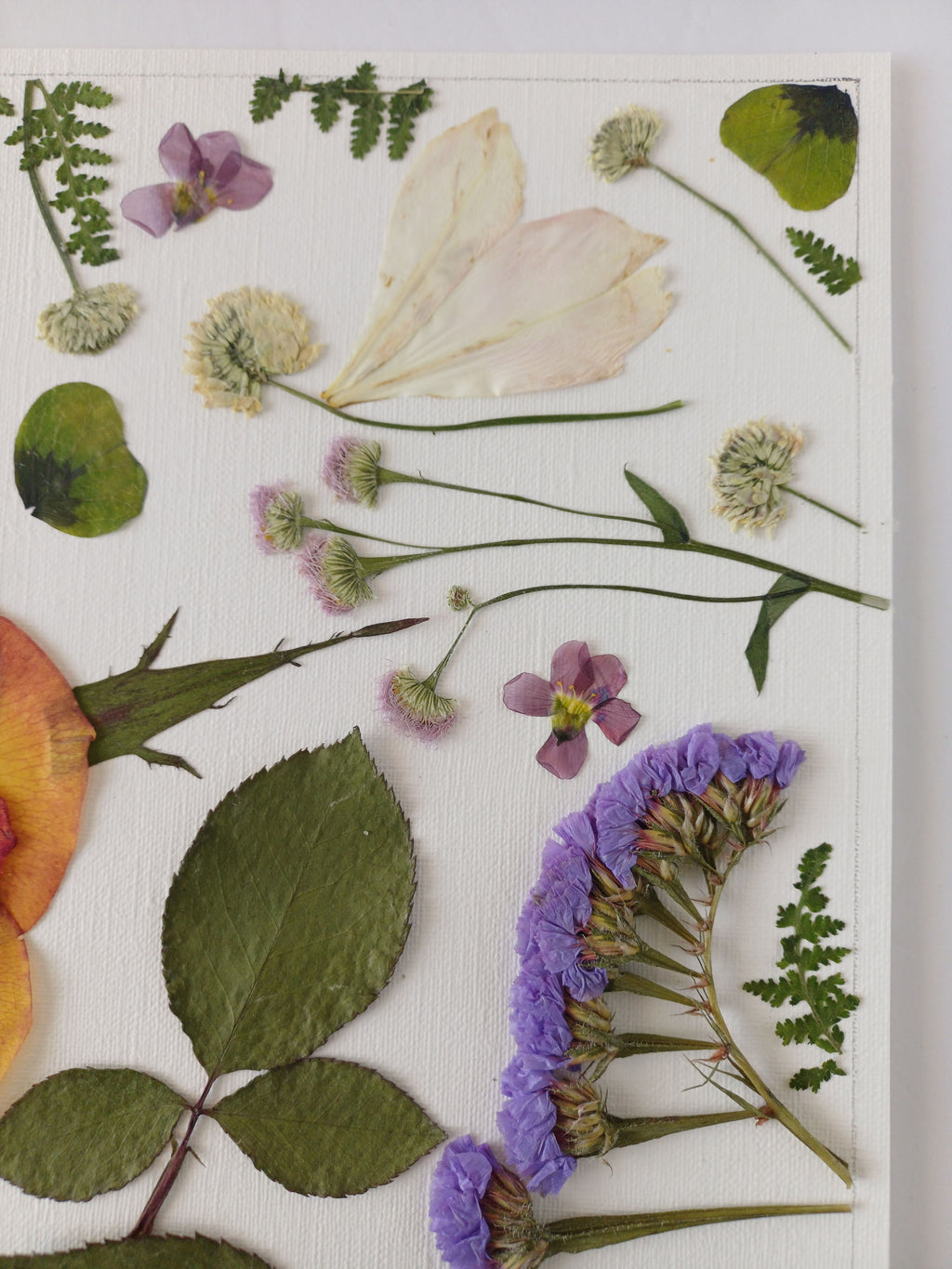 Wings of Summer - Original Pressed Flower Wall Art - 11x14 in Framed
