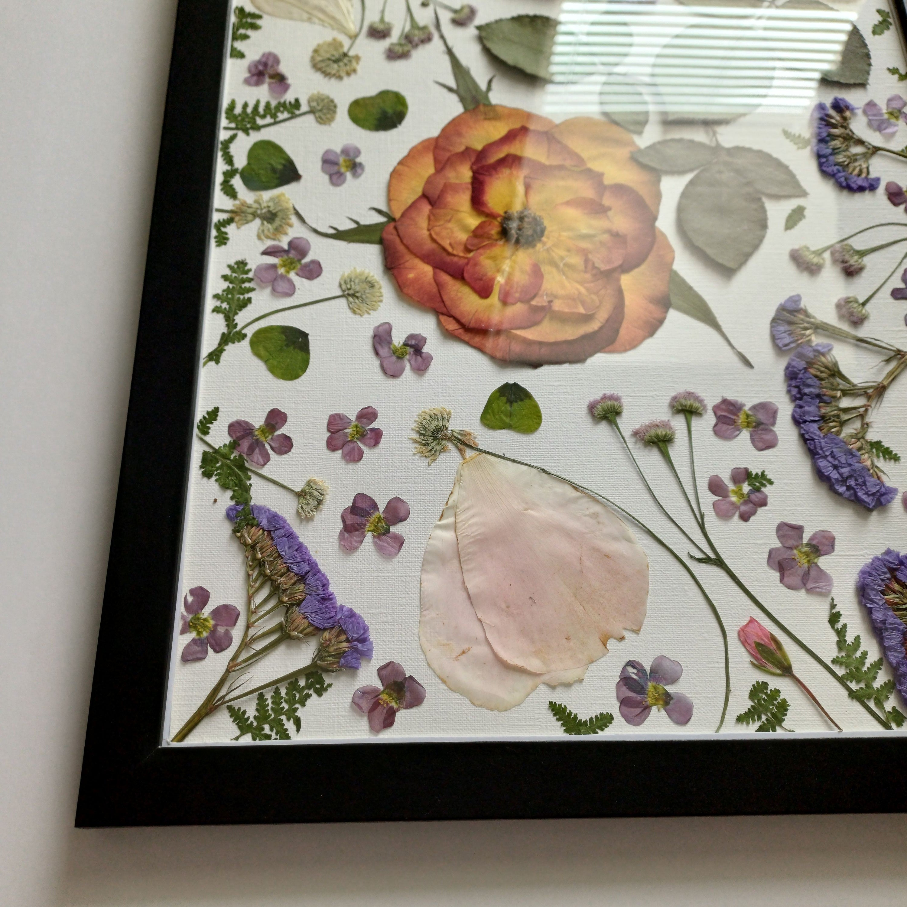 Wings of Summer - Original Pressed Flower Wall Art - 11x14 in Framed