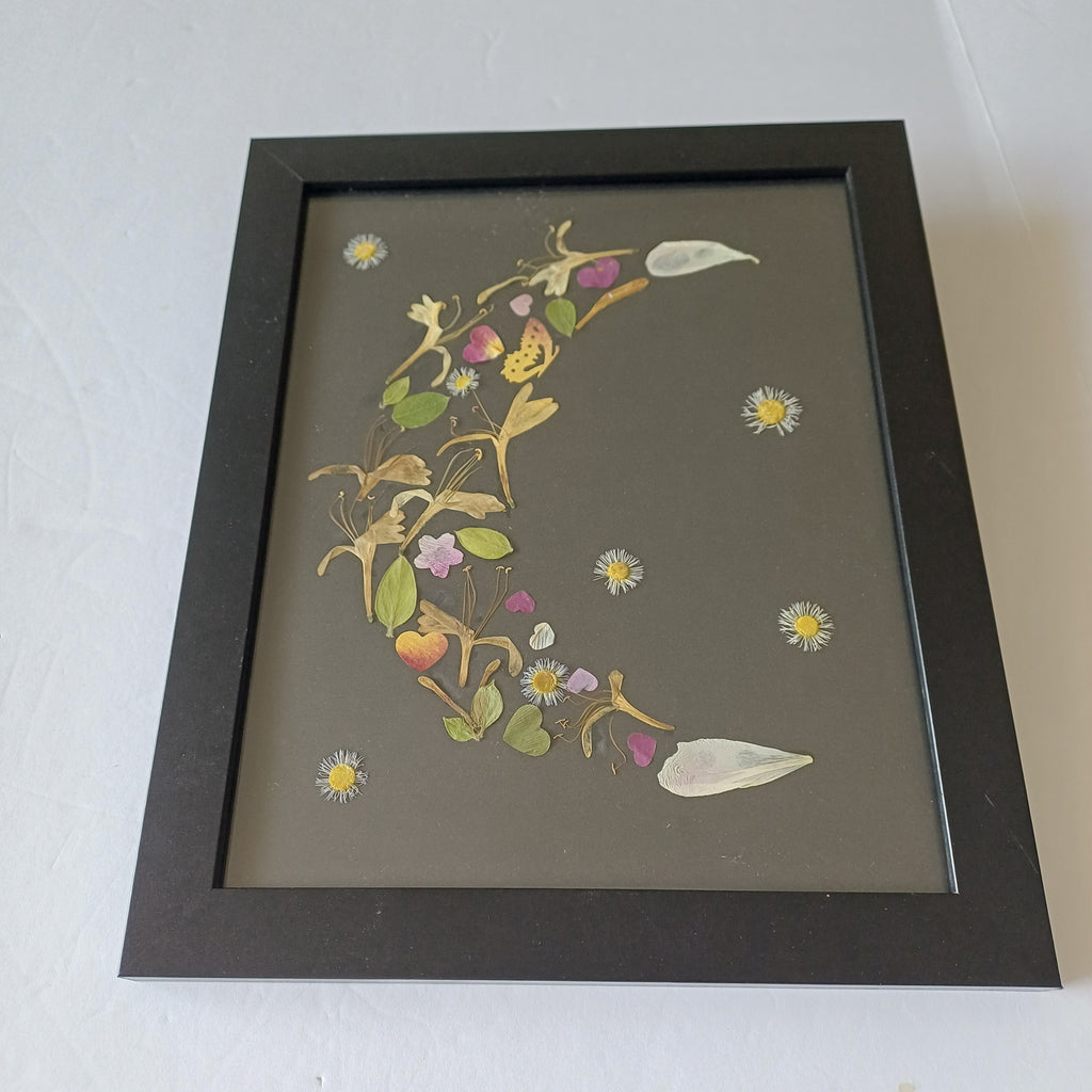 Honeysuckle Dreams - Original Pressed Flower Wall Art - 5x7 in Framed