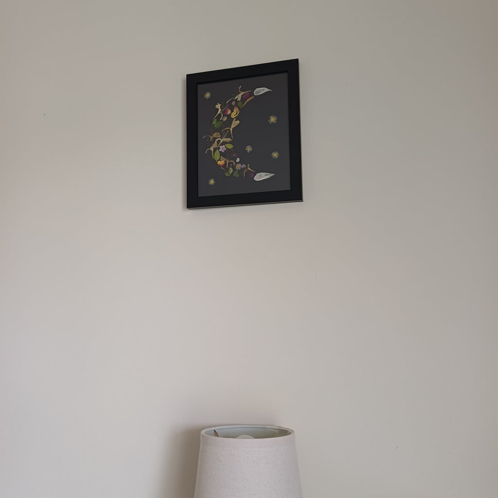 Honeysuckle Dreams - Original Pressed Flower Wall Art - 5x7 in Framed