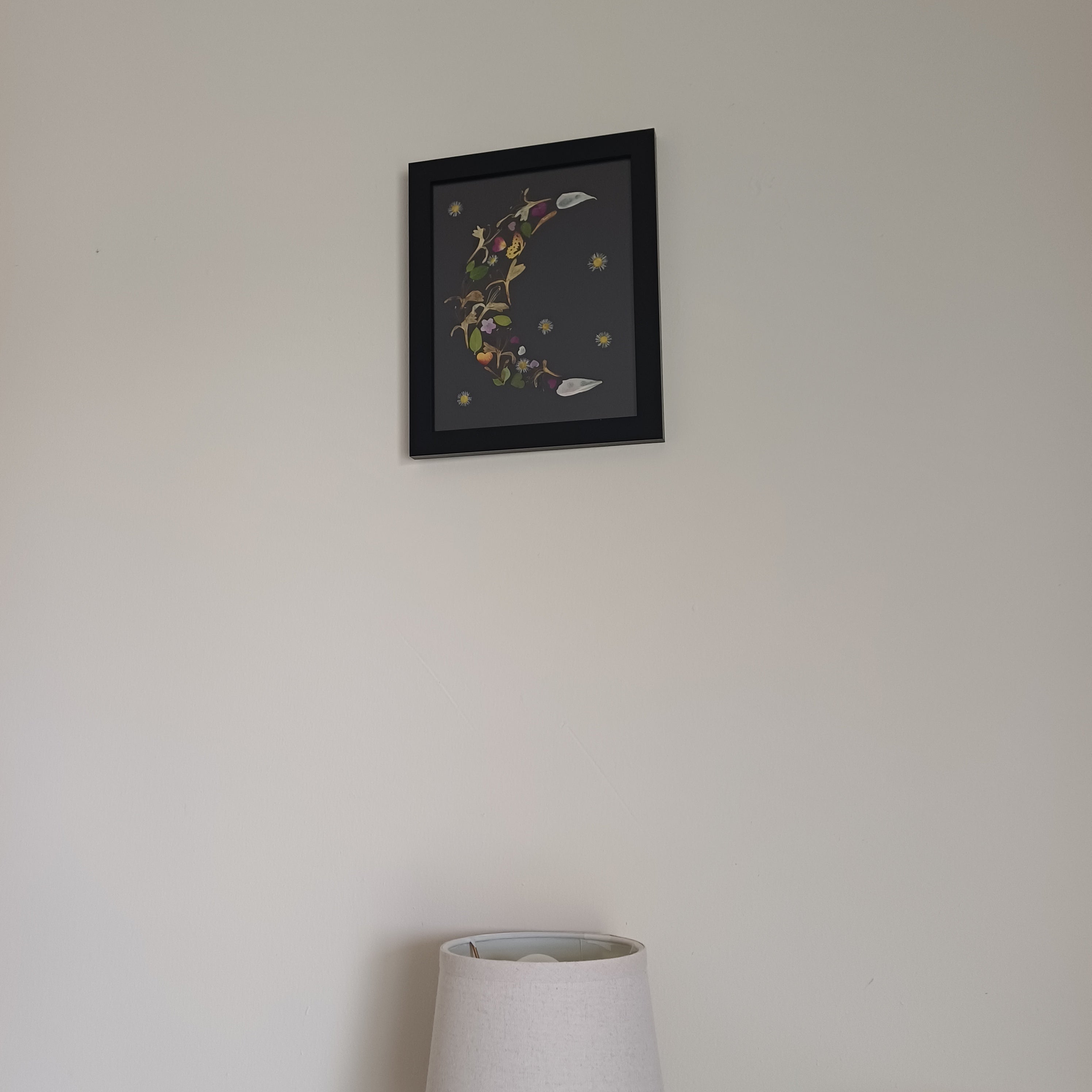 Honeysuckle Dreams - Original Pressed Flower Wall Art - 5x7 in Framed