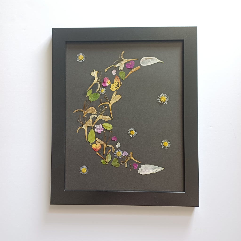 Honeysuckle Dreams - Original Pressed Flower Wall Art - 5x7 in Framed