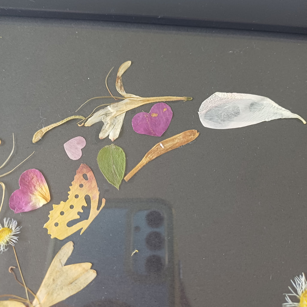 Honeysuckle Dreams - Original Pressed Flower Wall Art - 5x7 in Framed