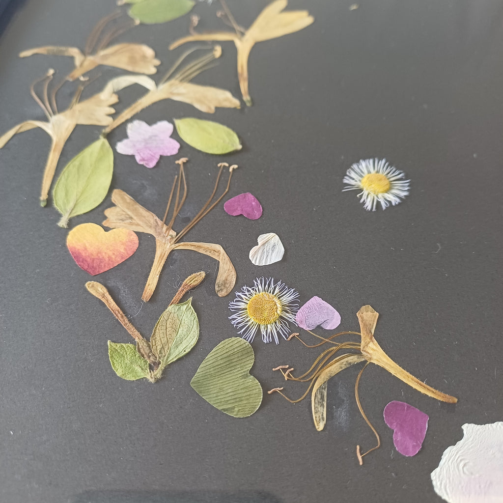 Honeysuckle Dreams - Original Pressed Flower Wall Art - 5x7 in Framed