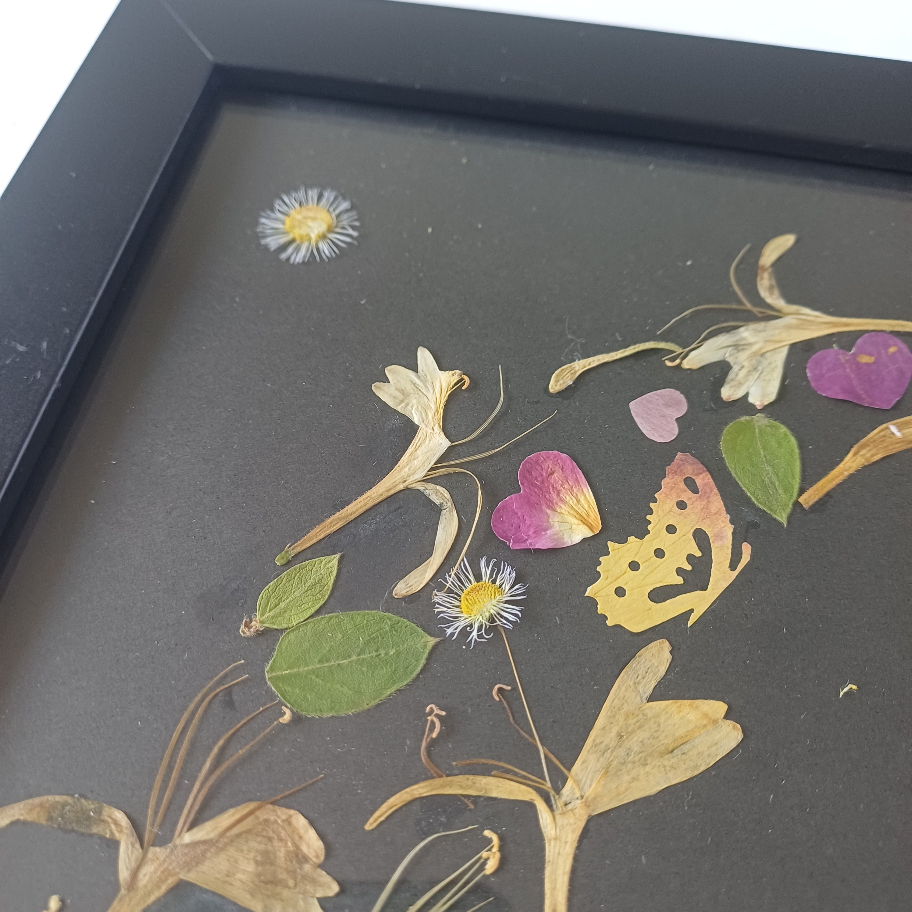 Honeysuckle Dreams - Original Pressed Flower Wall Art - 5x7 in Framed