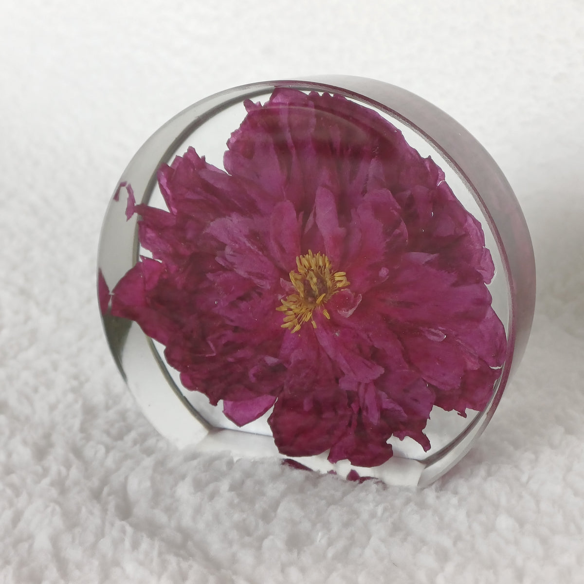 Anniversary or Valentine's Gift, Whole Flower Resin Preservation, Never Wilts