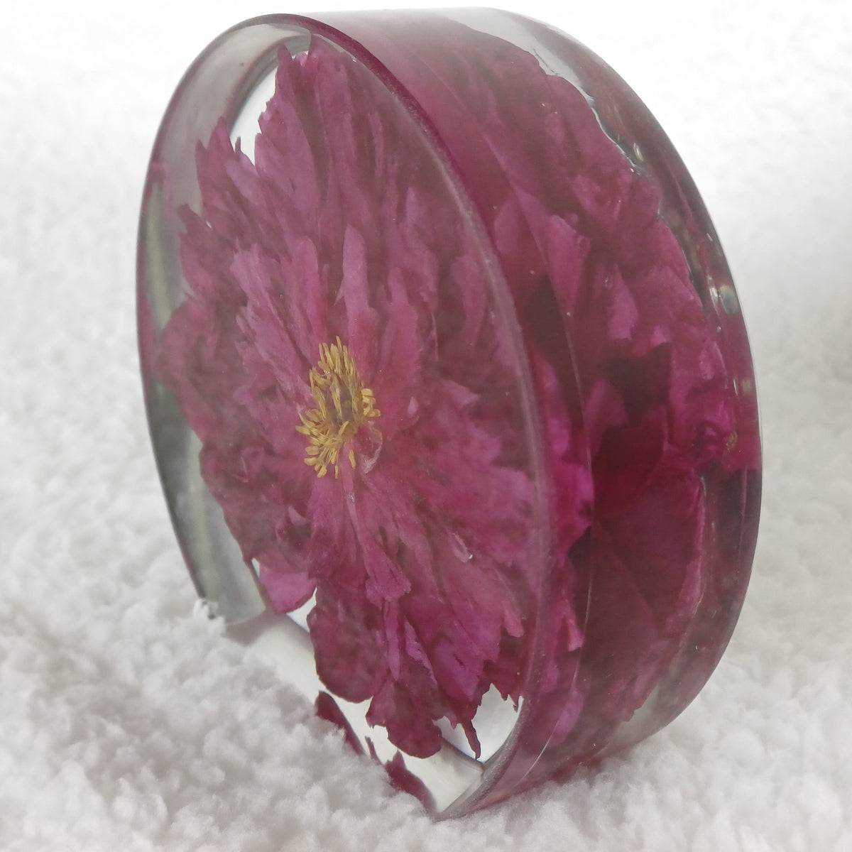 Anniversary or Valentine's Gift, Whole Flower Resin Preservation, Never Wilts