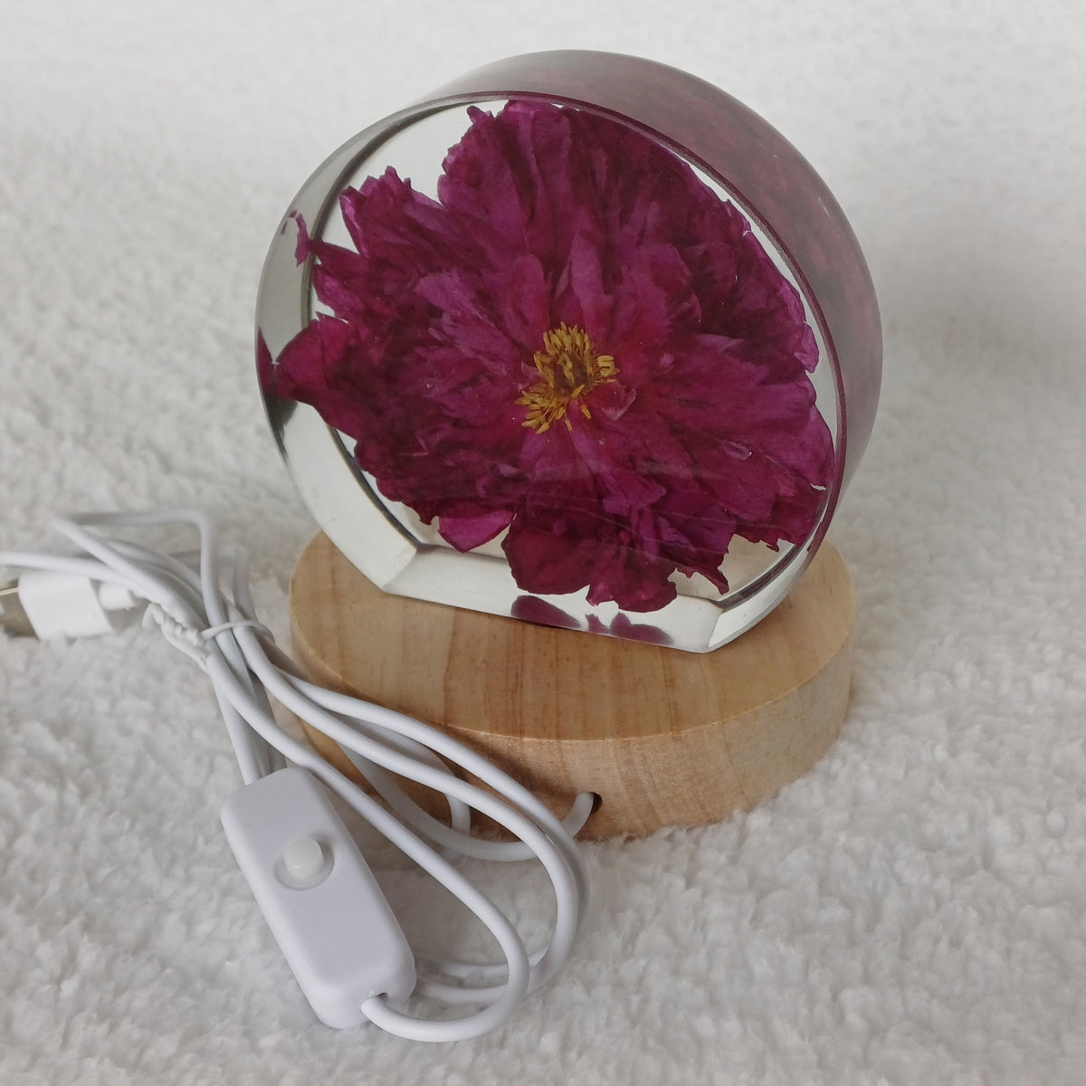 Anniversary or Valentine's Gift, Whole Flower Resin Preservation, Never Wilts