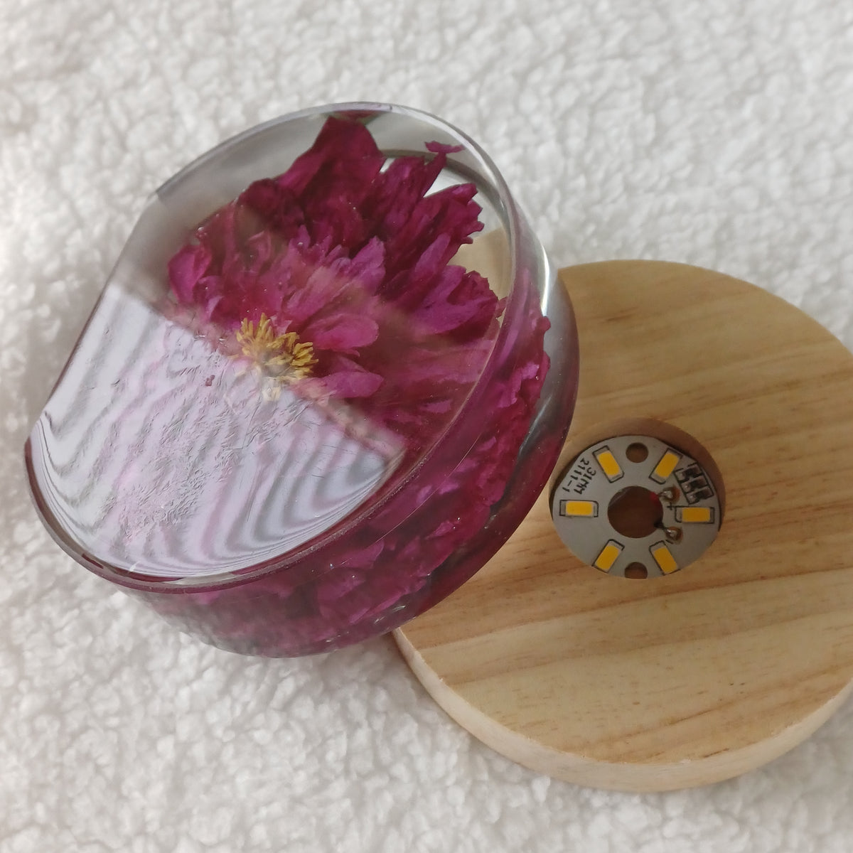 Anniversary or Valentine's Gift, Whole Flower Resin Preservation, Never Wilts