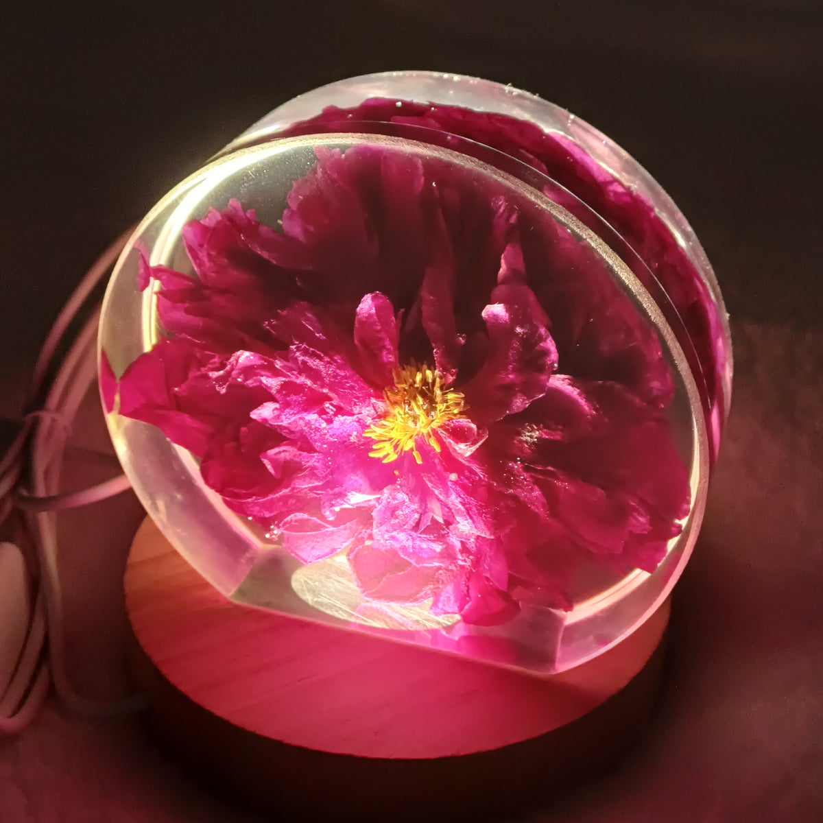 Anniversary or Valentine's Gift, Whole Flower Resin Preservation, Never Wilts