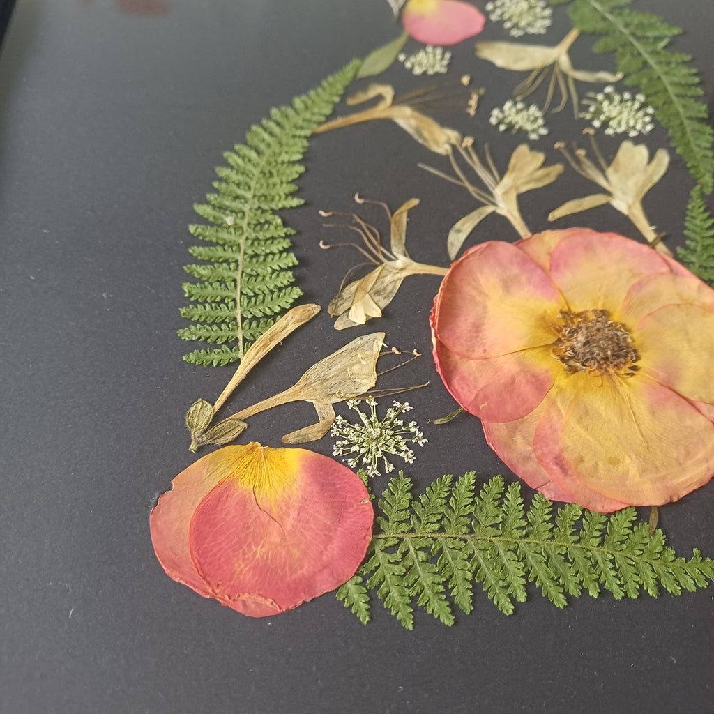 Midnight Rose Cat pressed flower wall art, 5x7 framed, size reference