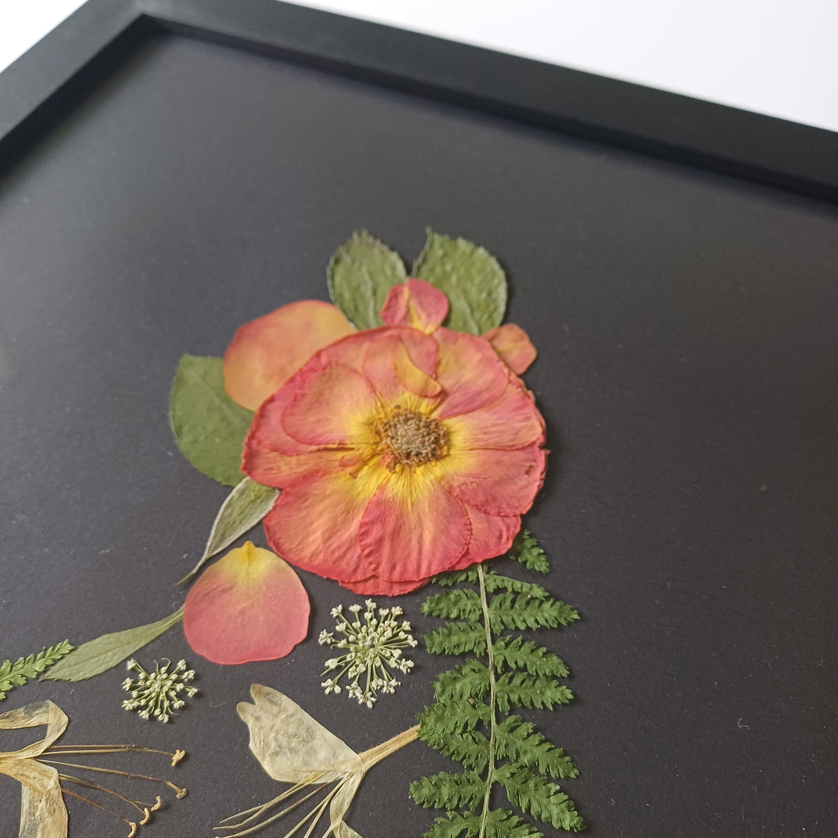 Midnight Rose Cat pressed flower wall art, 5x7 framed, back of the frame