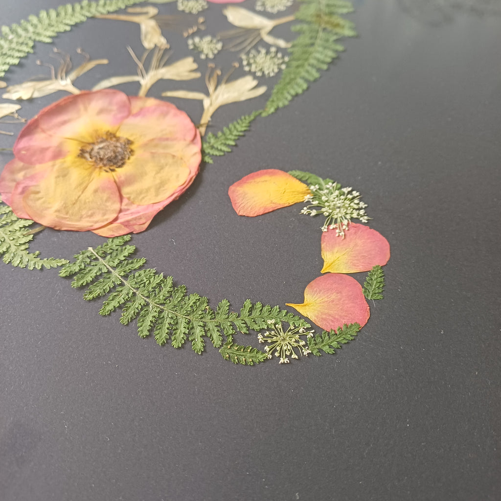 Midnight Rose Cat pressed flower wall art, 5x7 framed, in natural light