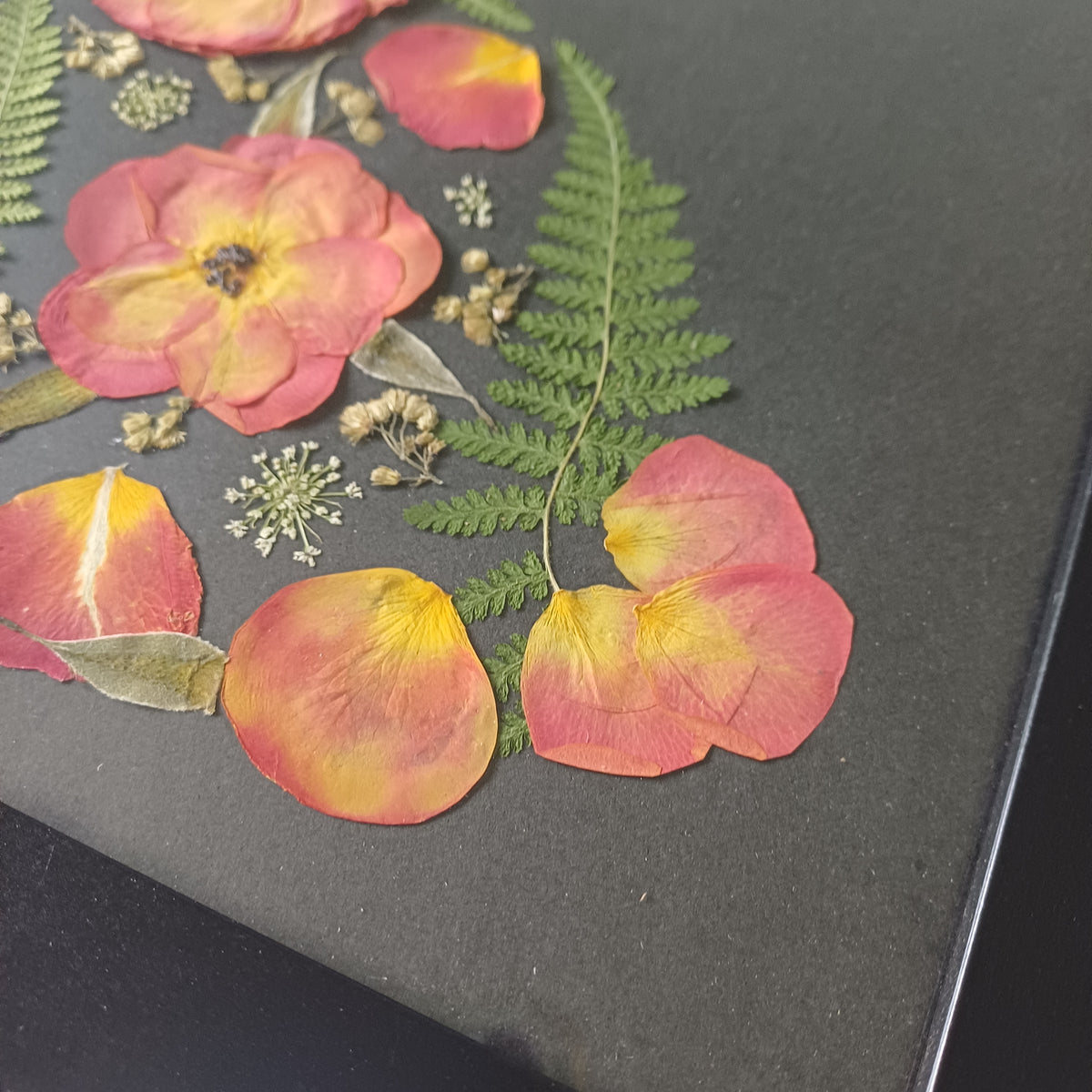 Rose Garden Cat pressed flower wall art, 11x14 framed, size reference
