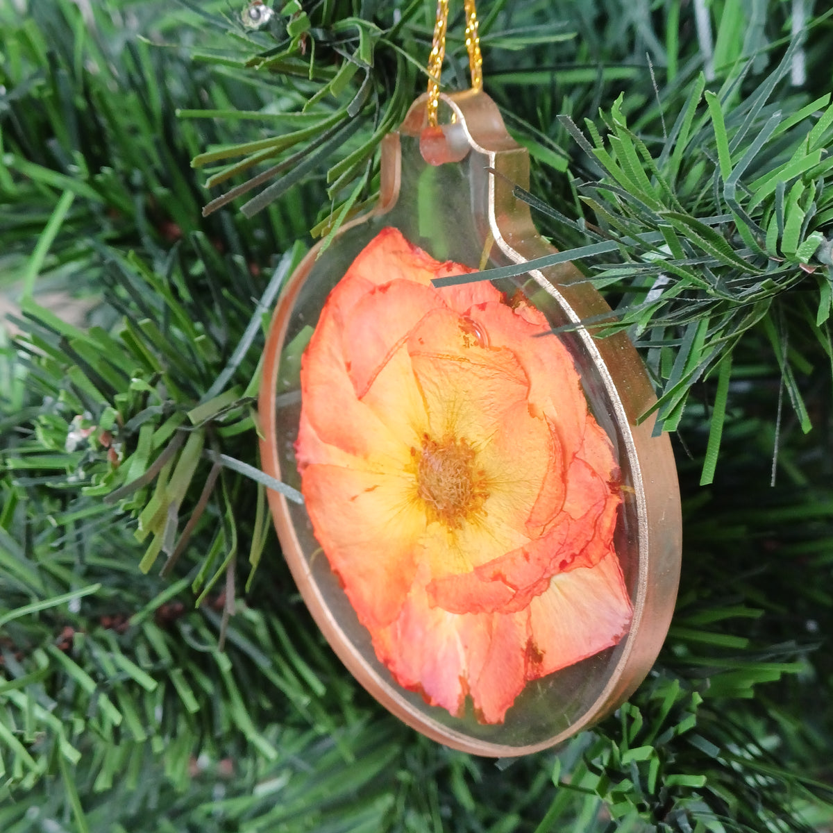 Real Flower Christmas Ornaments Set of 6, 2 in, in a Gift Box, Handmade Resin Ornaments with Dried Flowers, Ready to Give