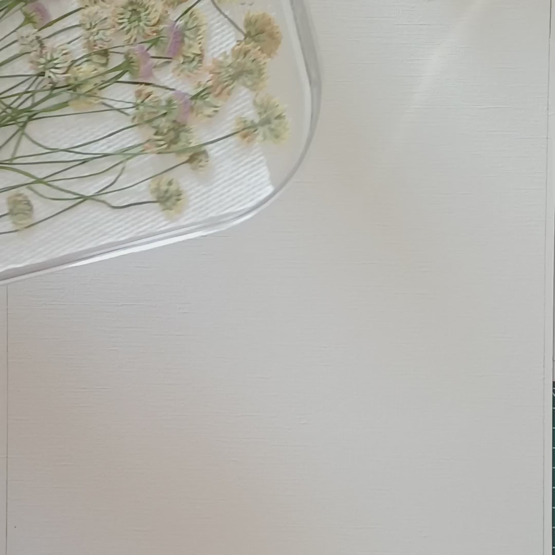 Wings of Summer - Original Pressed Flower Wall Art - 11x14 in Framed